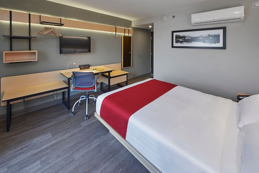 Suite, King Bed, Sofa