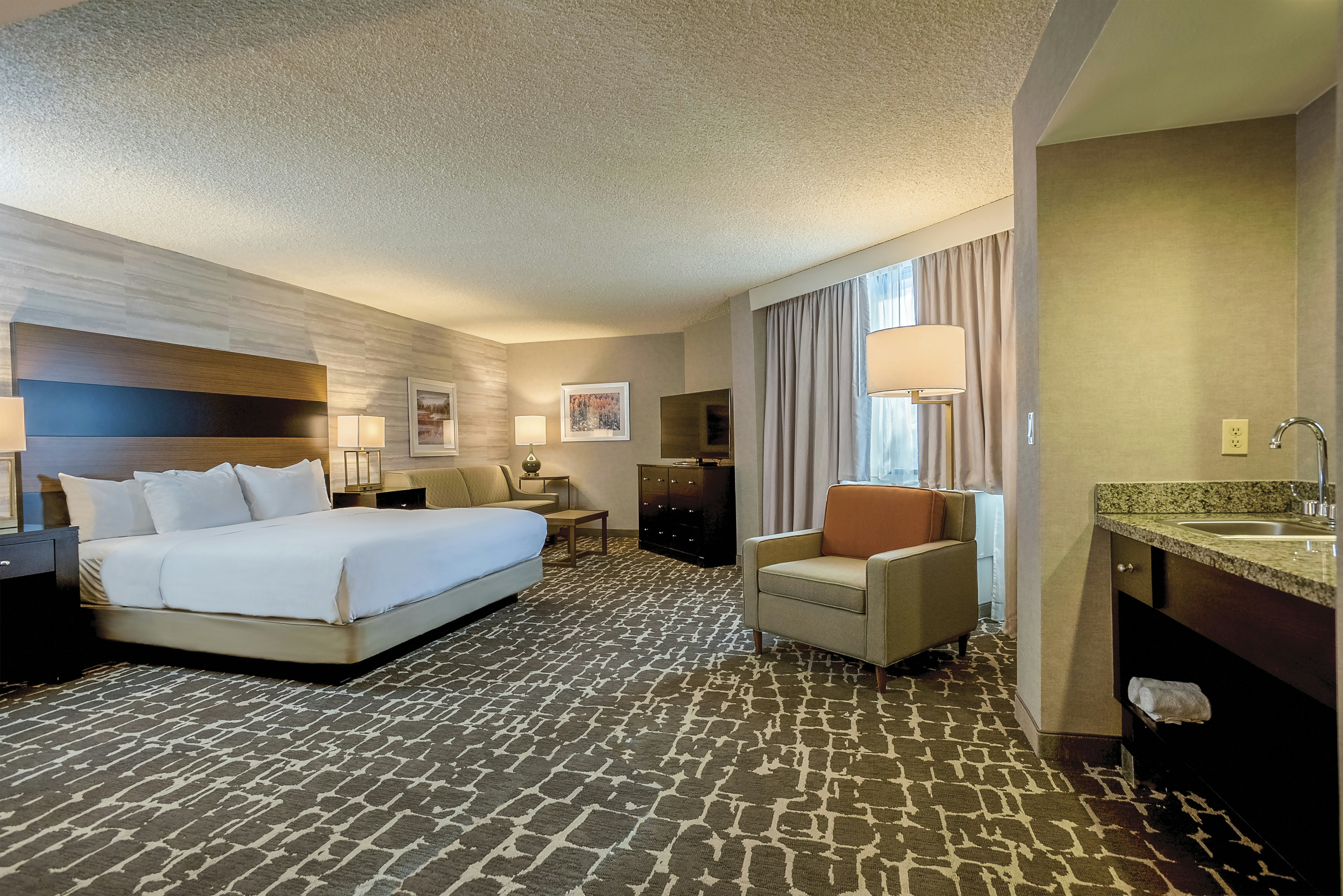 Room, King Bed, Large