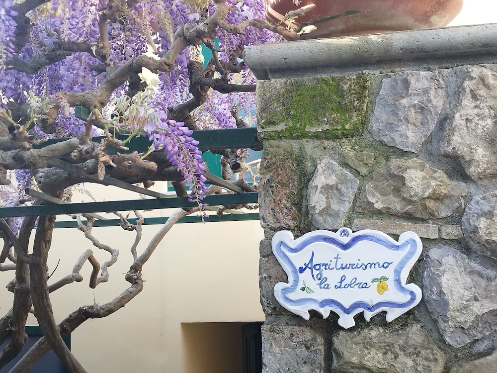 Agriturismo La Lobra 5/50