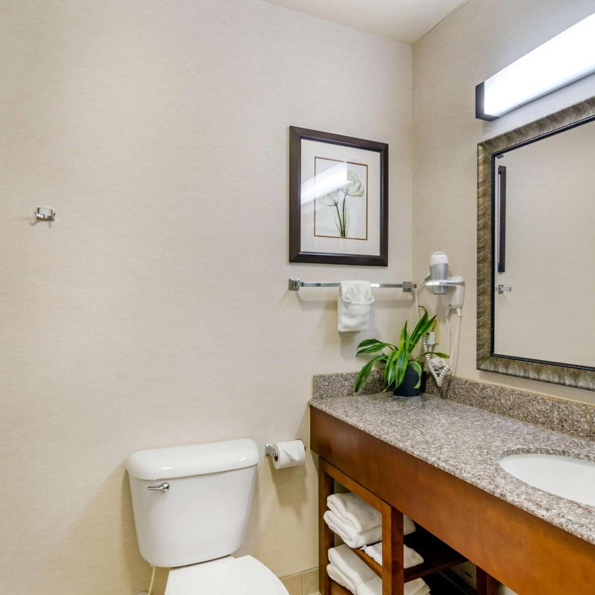 جناح بسرير كوين، Comfort Inn And Suites 10/10