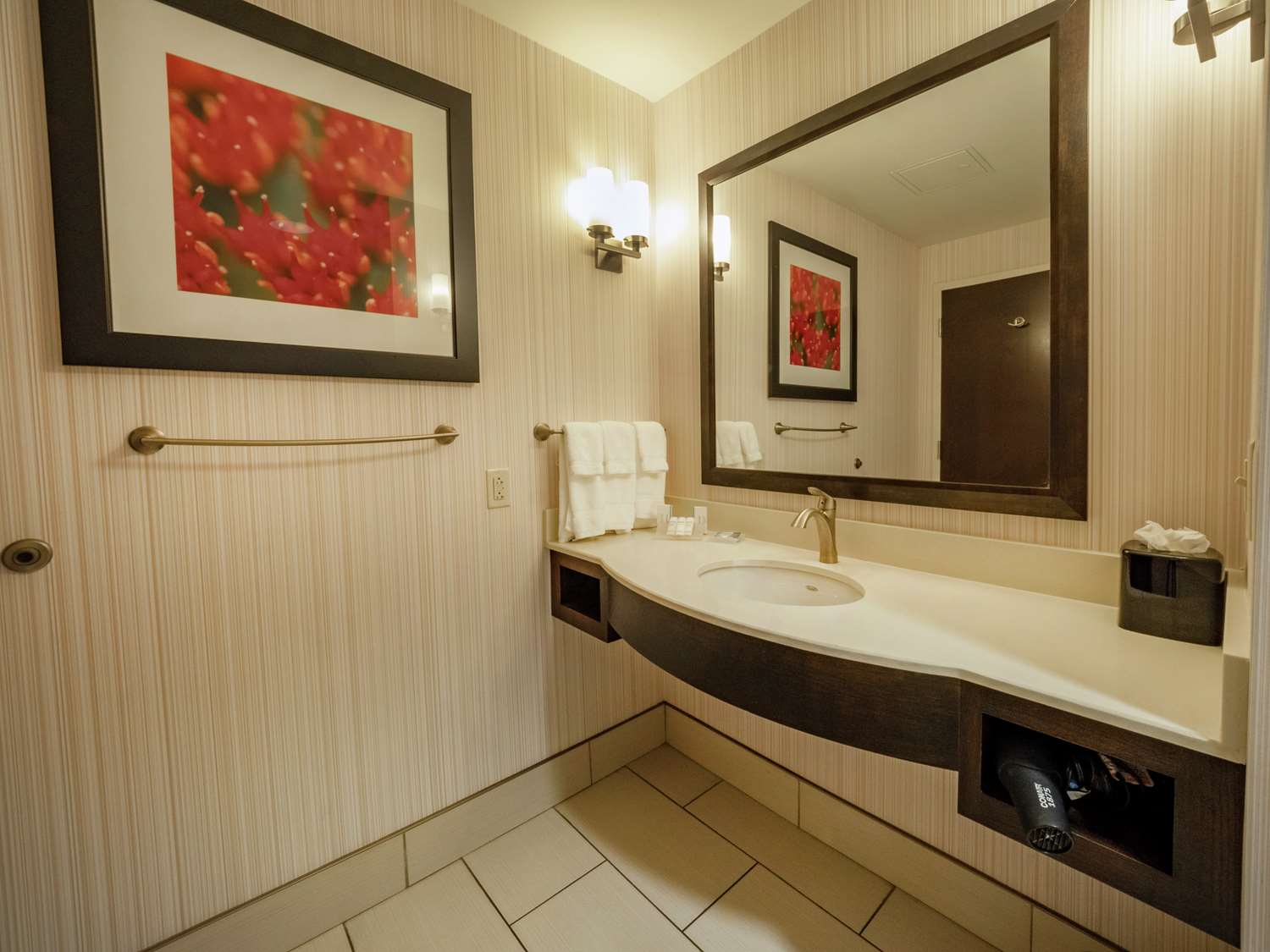 جناح جونيور ديلوكس، HILTON GARDEN INN BUFFALO DOWNTOWN 3/3