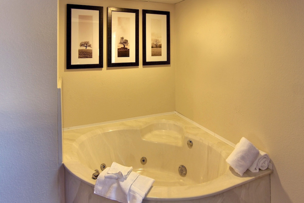 Blossom Hotel & Suites Traverse City 38/64