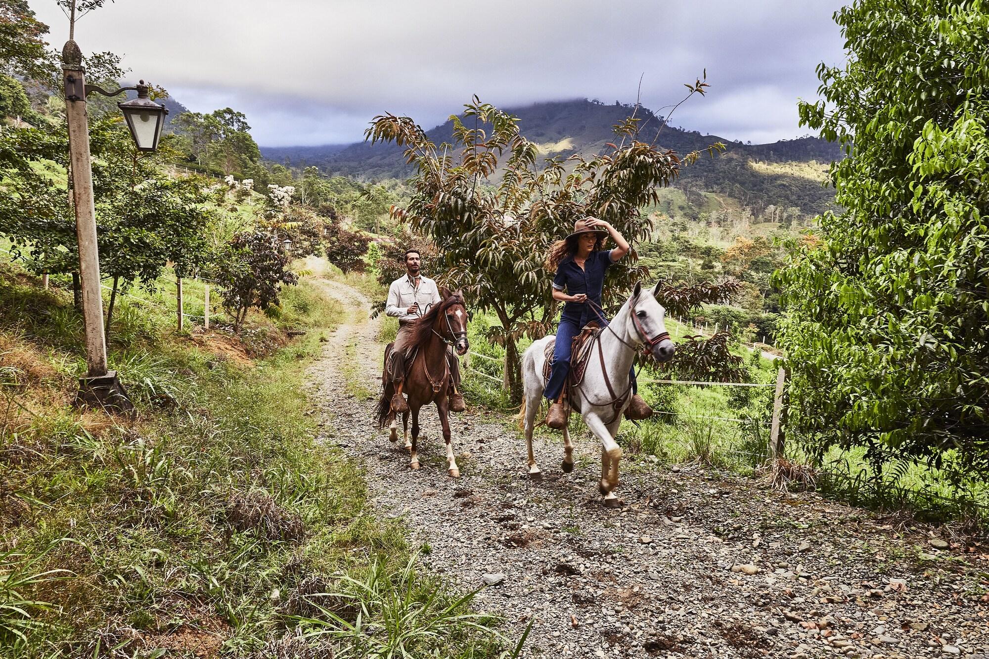 HACIENDA ALTAGRACIA 73/84