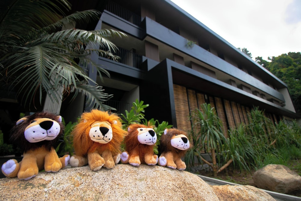 The Funny Lion El Nido 6/50