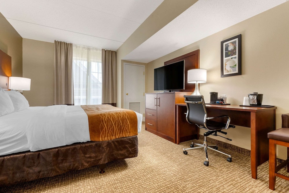 Comfort Inn & Suites Cordele GA 13/31
