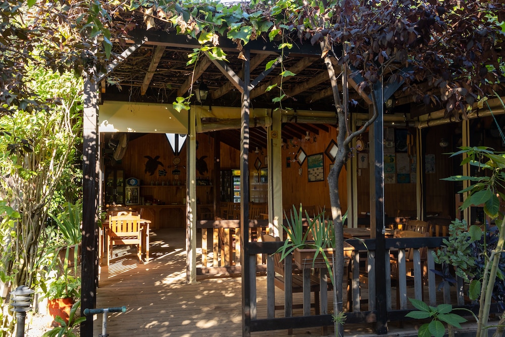 Caretta Caretta Pension酒店(Caretta Caretta Pension) 图片3
