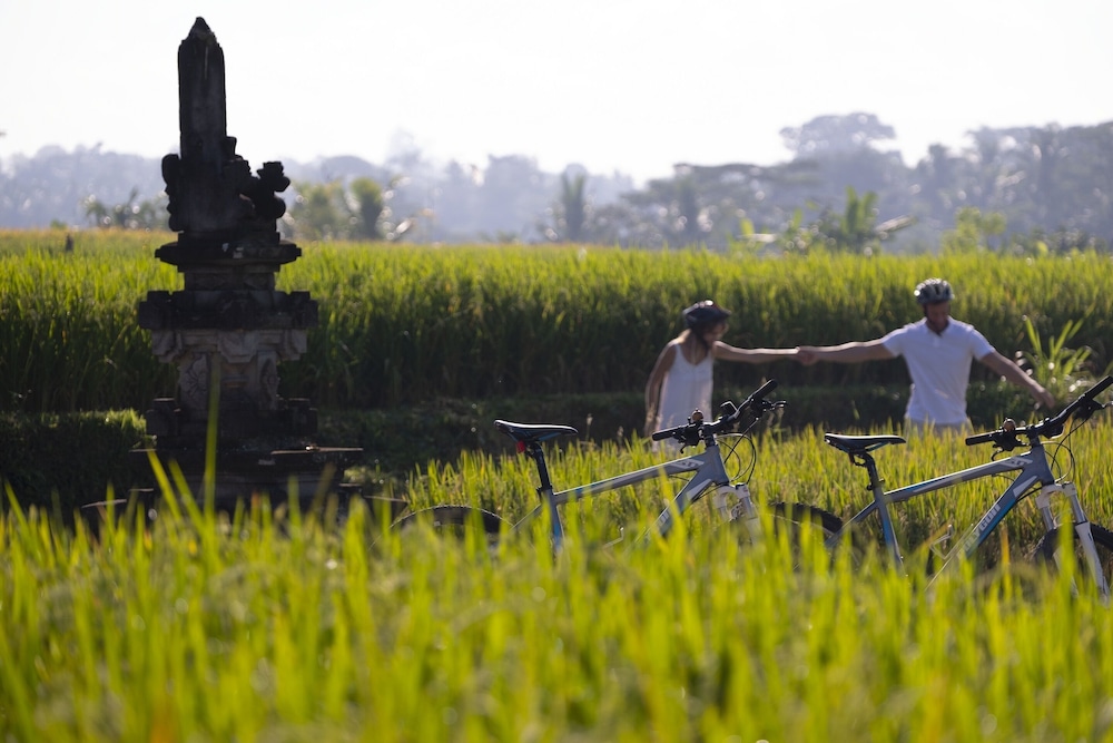The Samaya Ubud Hotel 42/65