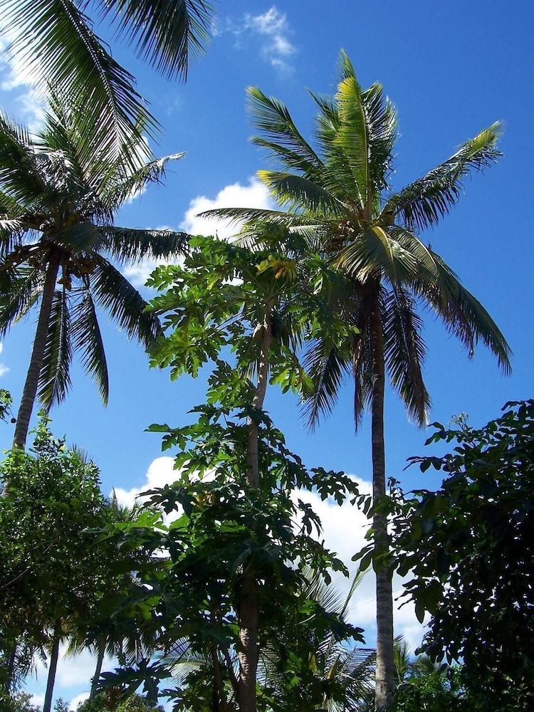 Blue Moon Beach Holiday Resort 24/32