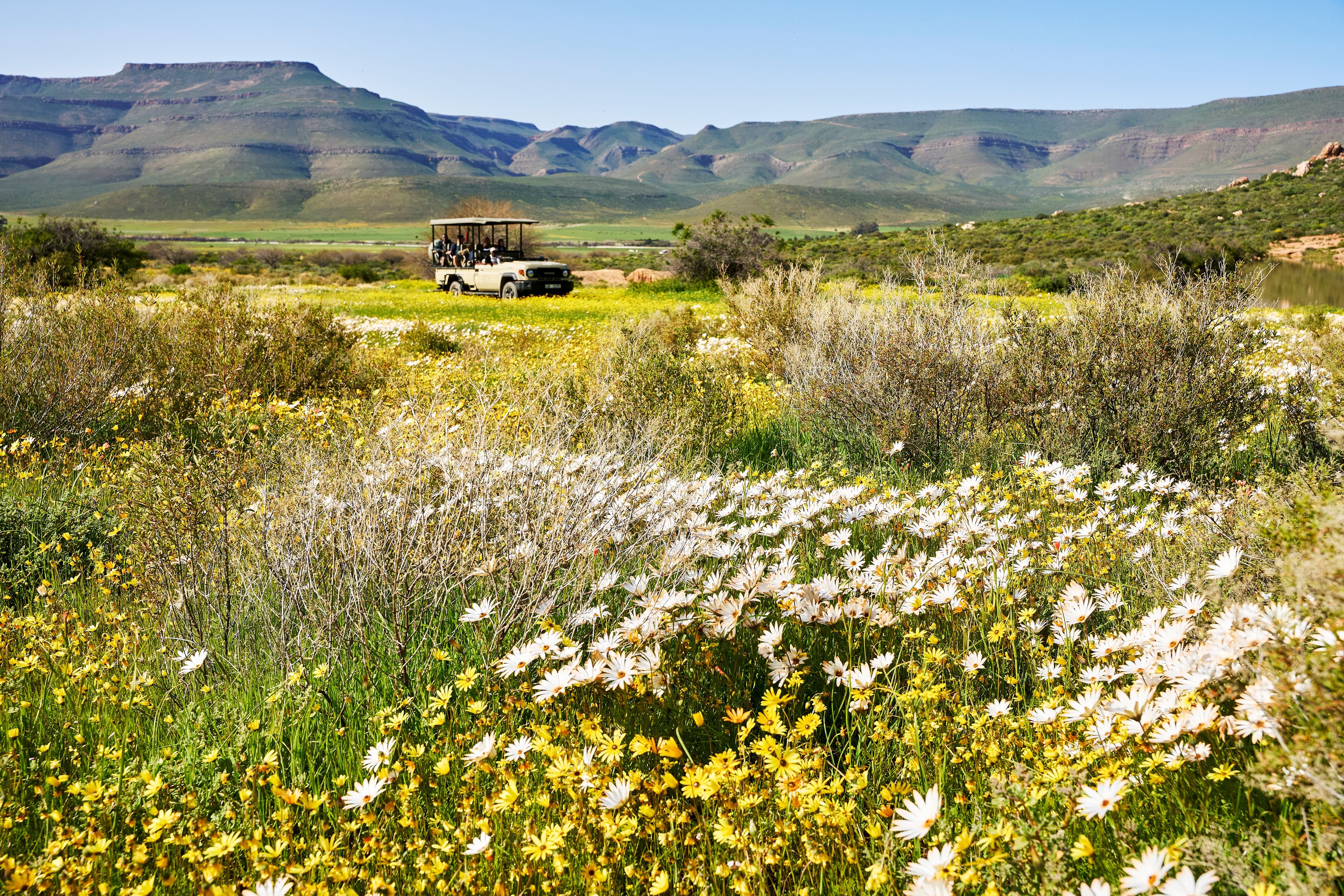 Bushmans Kloof Wilderness Reserve and Wellness Retreat 45/50