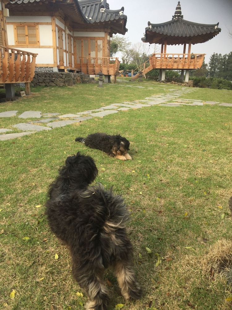 Canopus Resort Pension 33/50