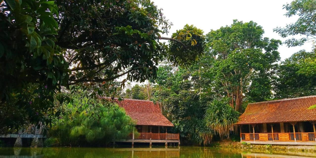 Sapu Lidi 27/31