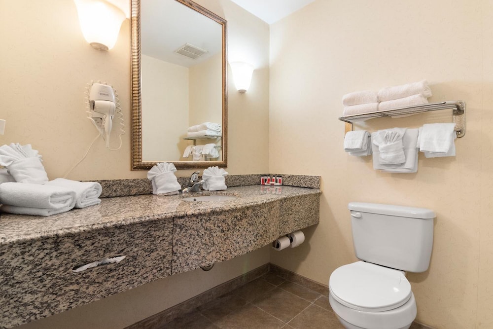 Sleep Inn & Suites Newport News City Center Area 11/41