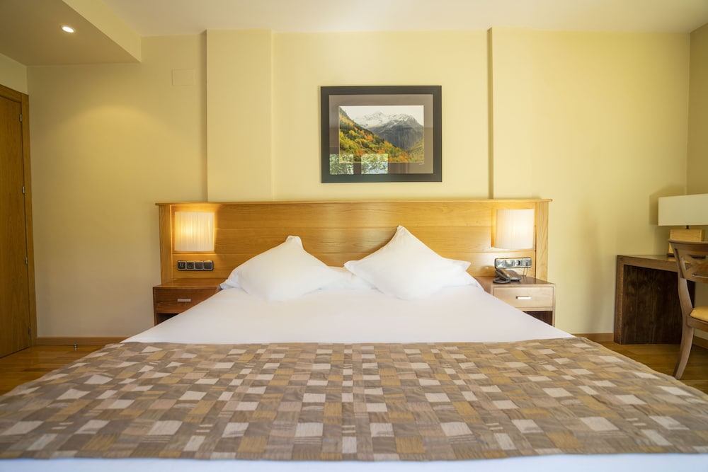 Hotel Pena 16/50