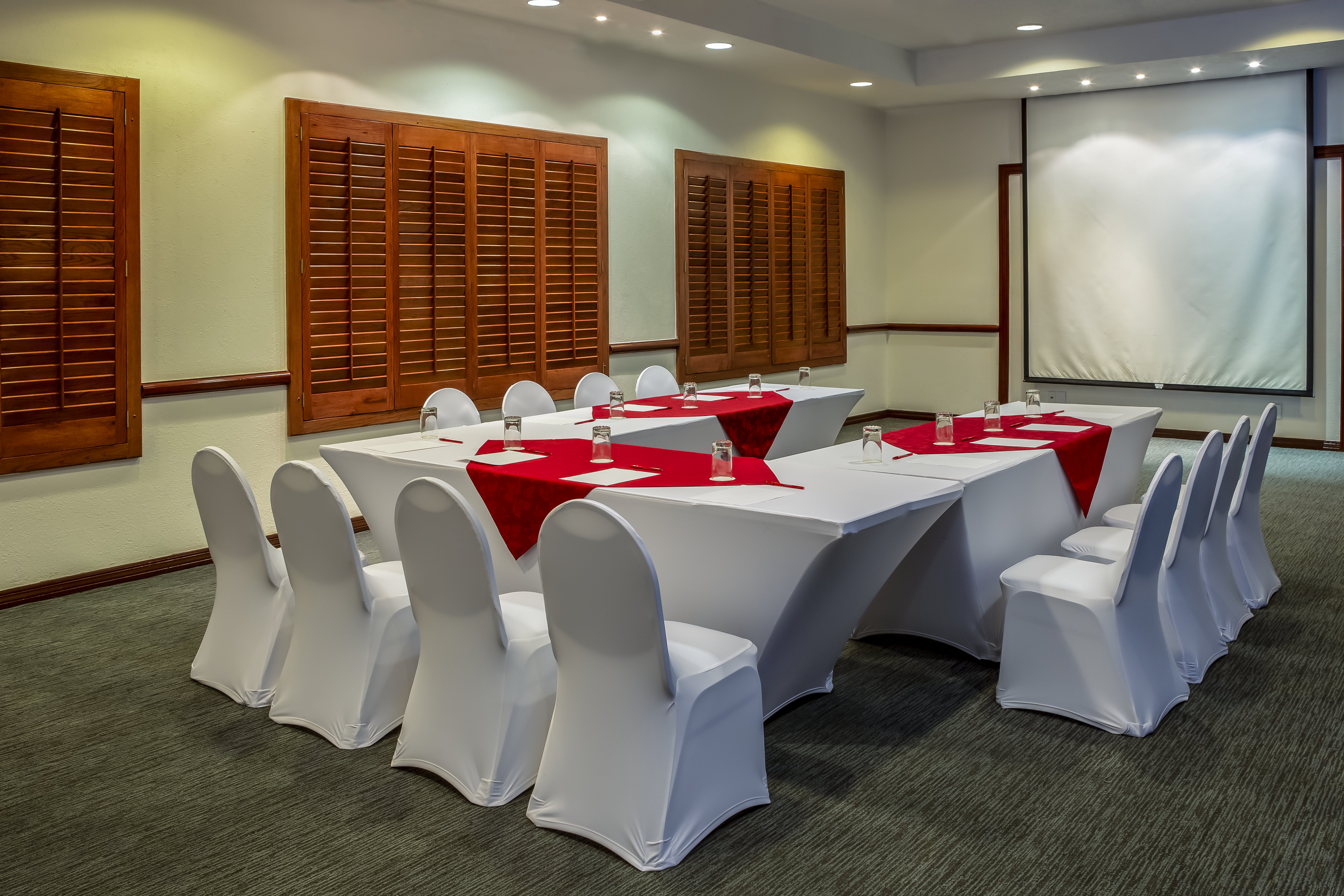 Fiesta Inn Ciudad Juarez 31/39