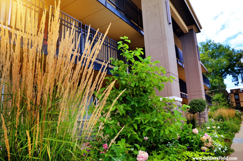 Centerstone Plaza Hotel Soldiers Field Mayo Clinic Area 6/71
