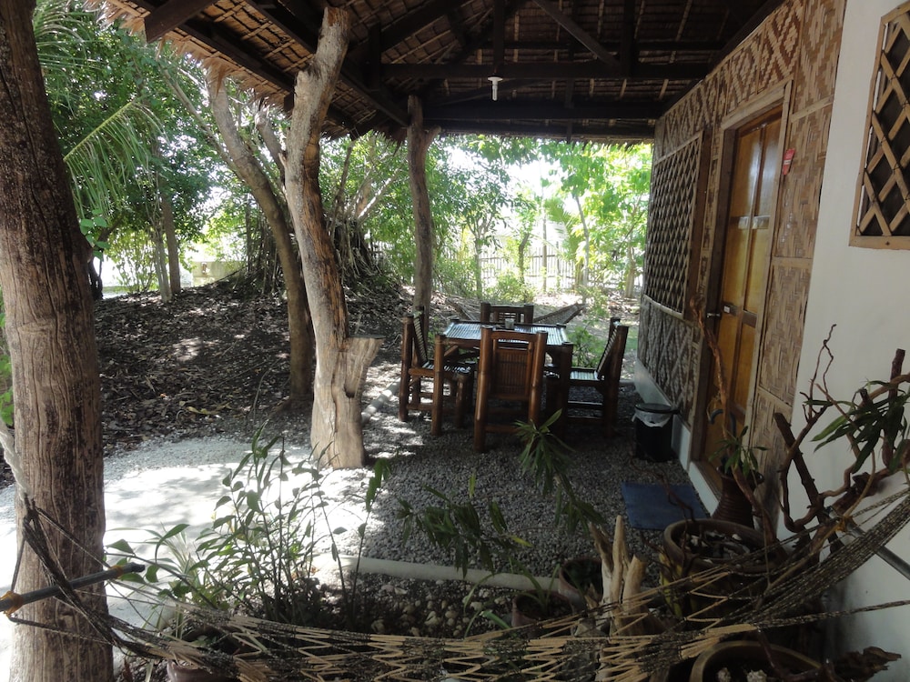 Sea Turtle House 17/50