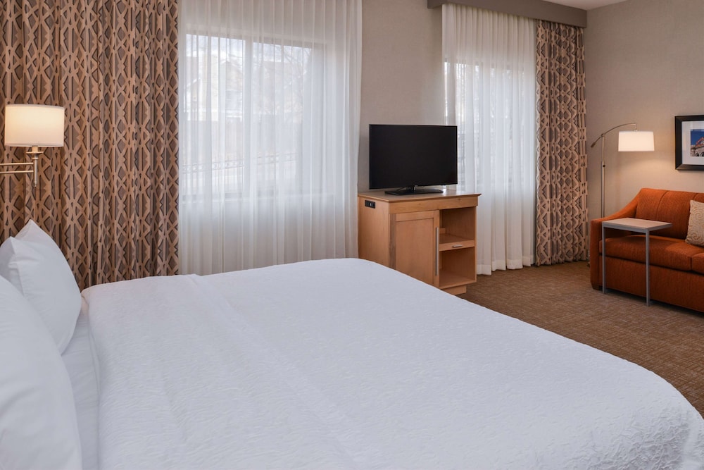 Hampton Inn Suites Denver Speer Boulevard 15/42