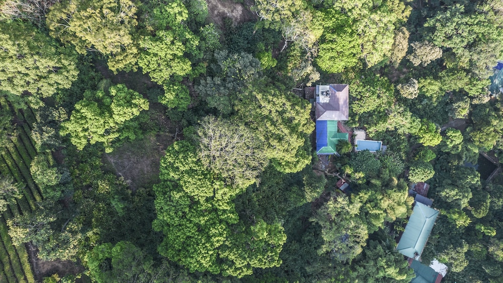 Spice Jungle Resort 35/58