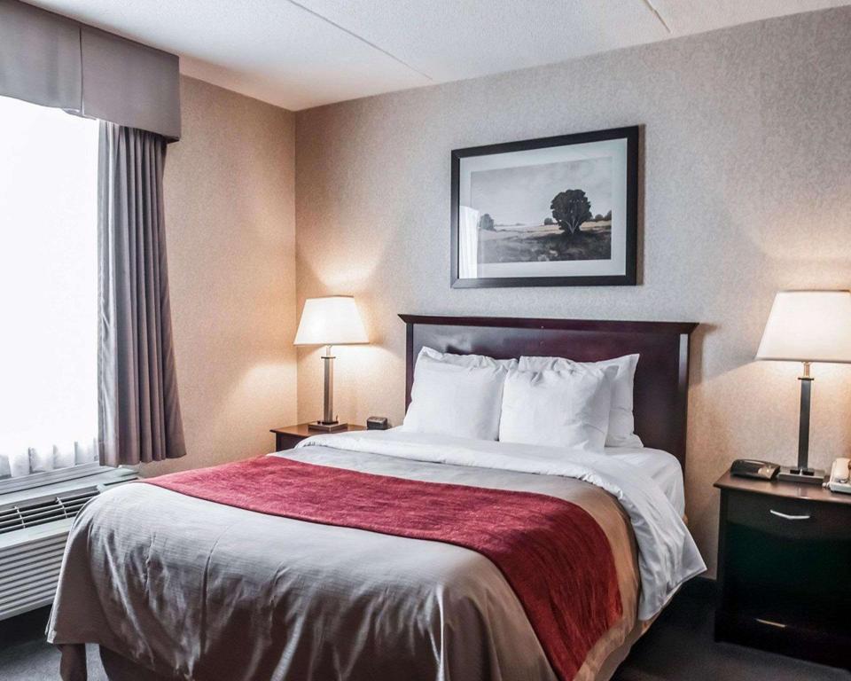 Upgrade, Efficiency, King Bed، Comfort Inn Mississauga 5/6