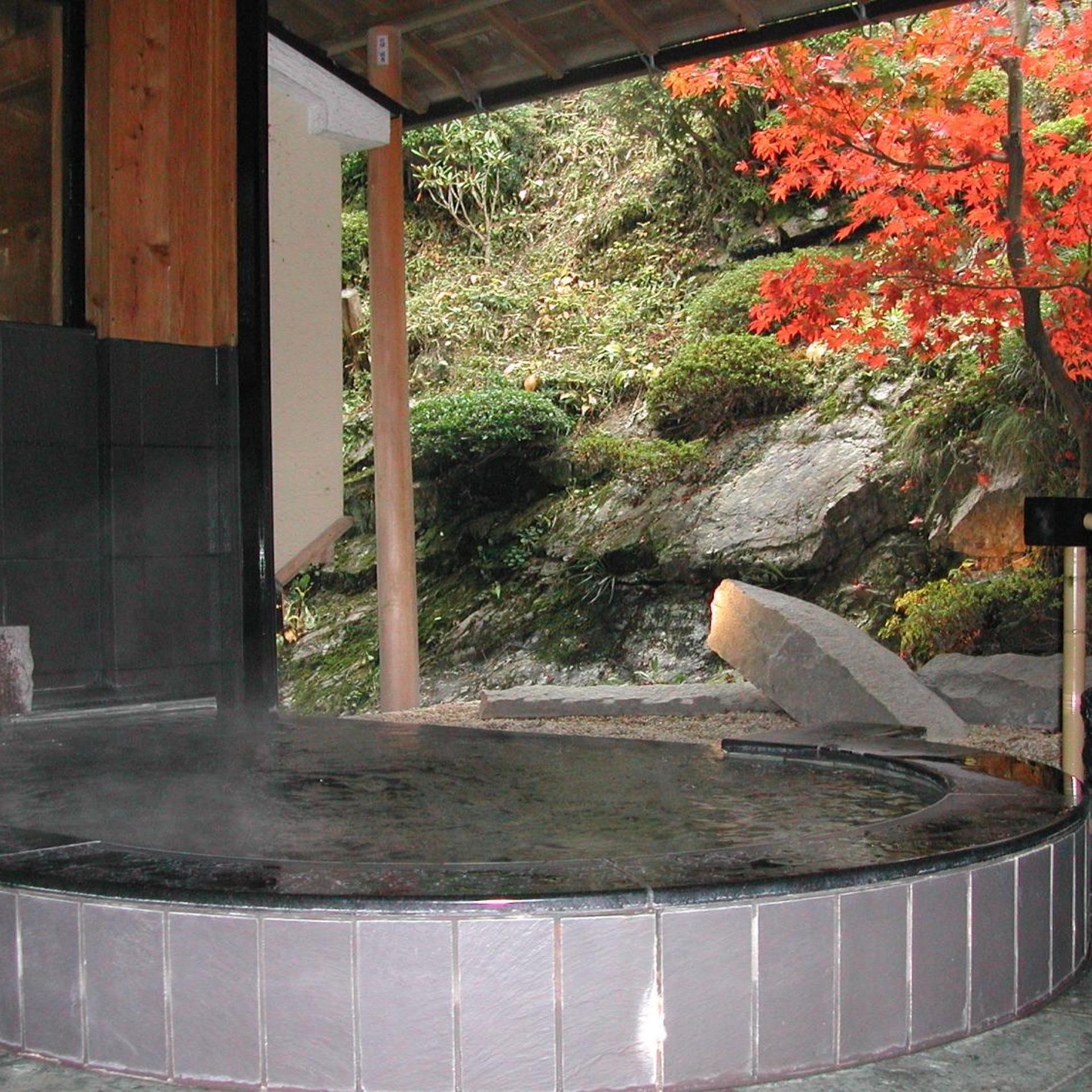 Yado Hanaya Tokubei - Dorogawa-Onsen Hot Spring 19/28