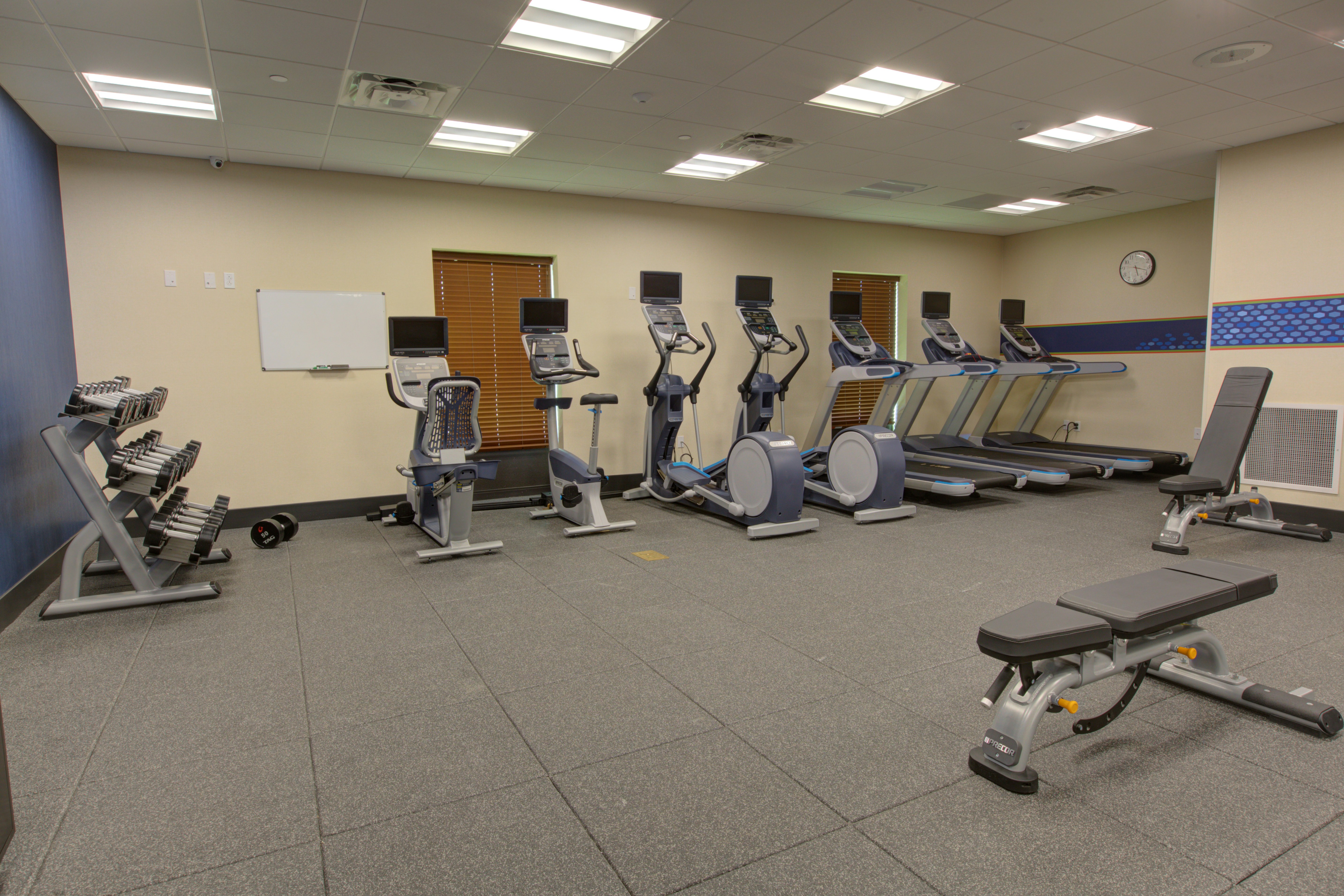 Hampton Inn And Suites Tampa Busch Gardens Area 26/46