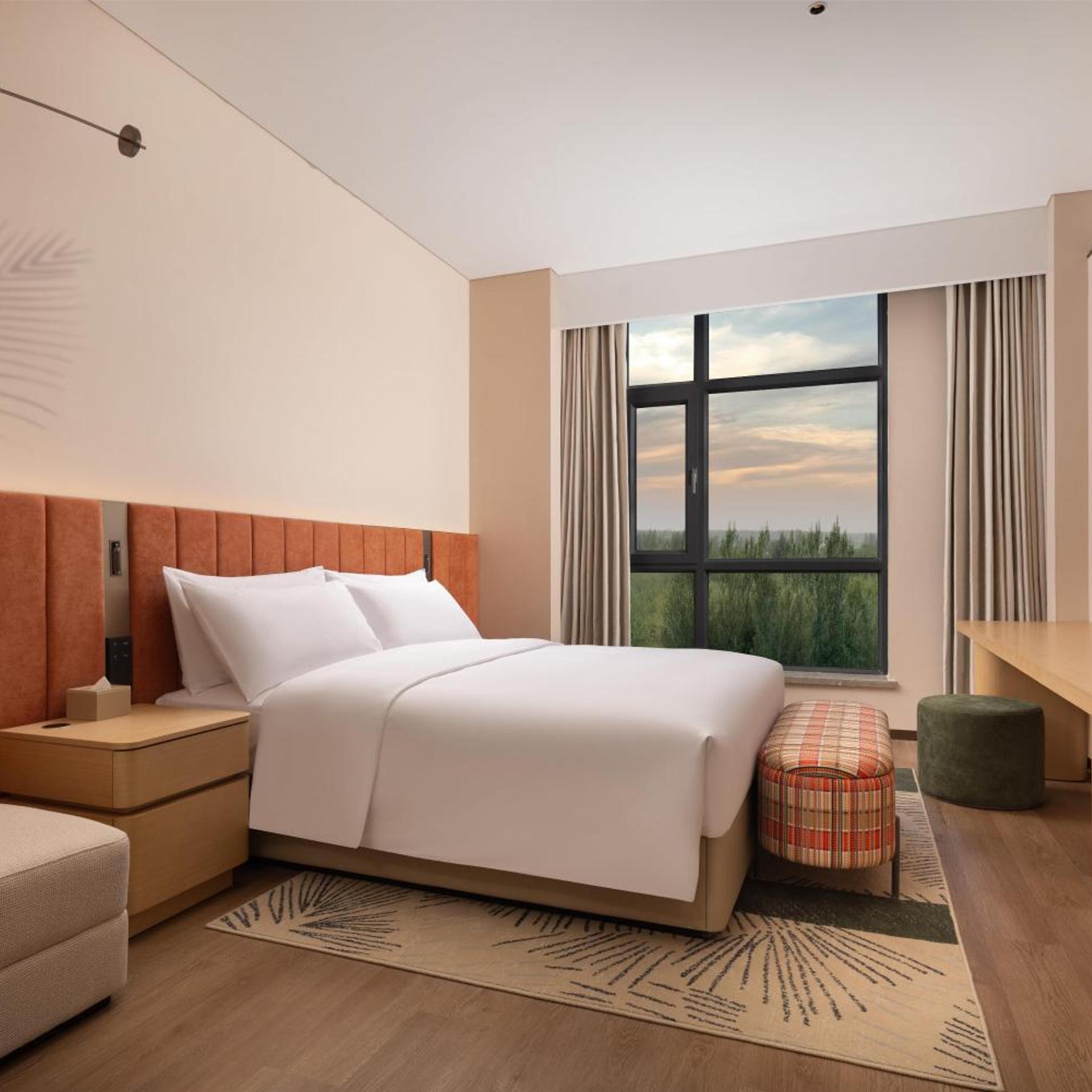 Hilton Garden Inn Jinghe County 20/52