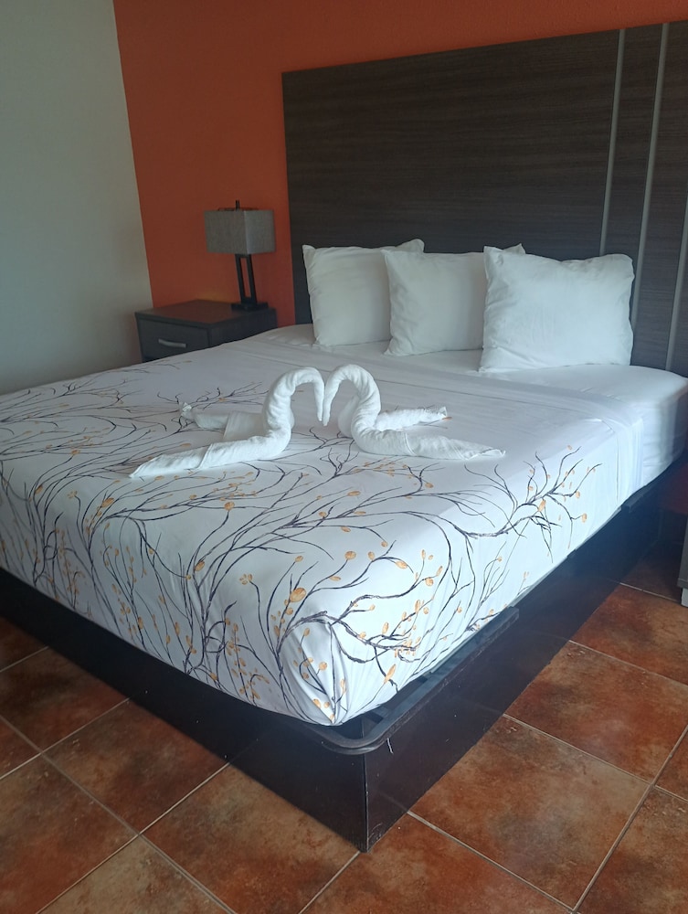 Altamonte Springs Hotel and Suites 18/40