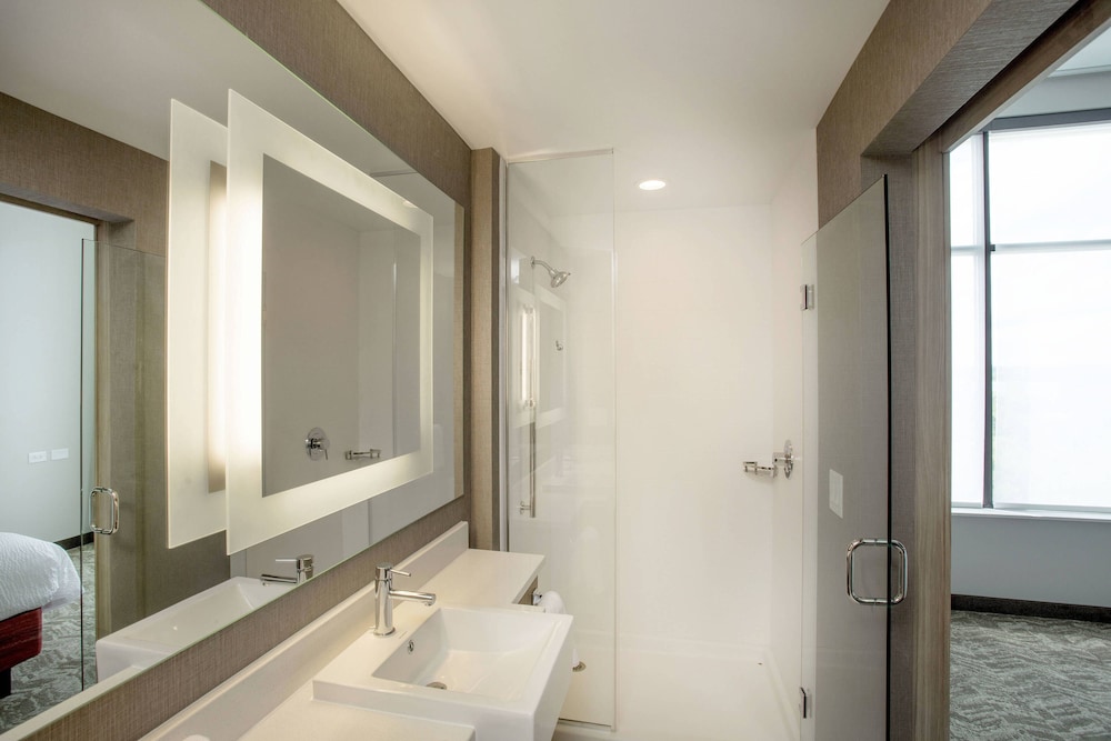 SpringHill Suites by Marriott Athens Downtown/University Area 16/41