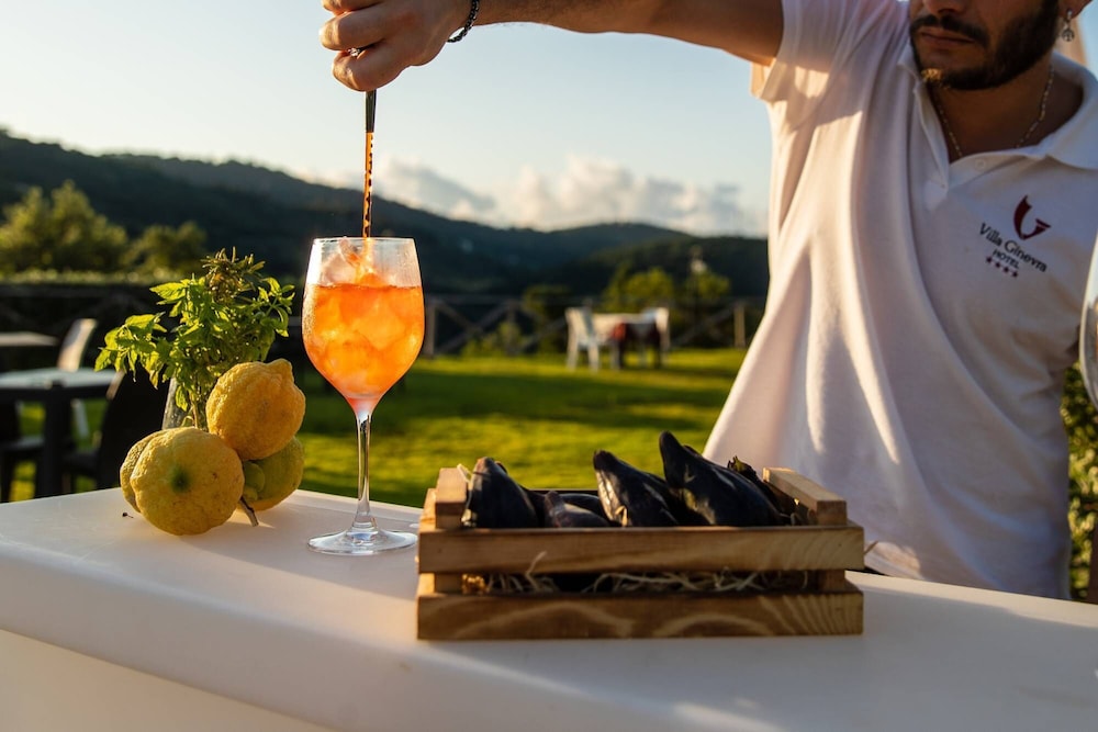 别墅Ginevra度假村Agrituristico(Villa Ginevra Resort Agrituristico) 图片2