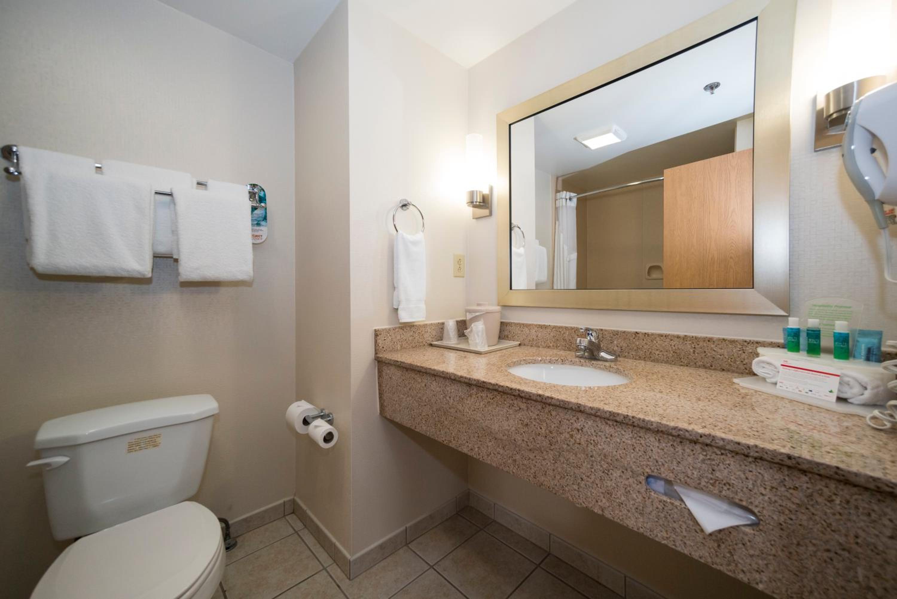 جناح بسرير كينج بغرفة نوم واحدة بجاكوزي، Holiday Inn Express Hotel & Suites Vicksburg 3/3