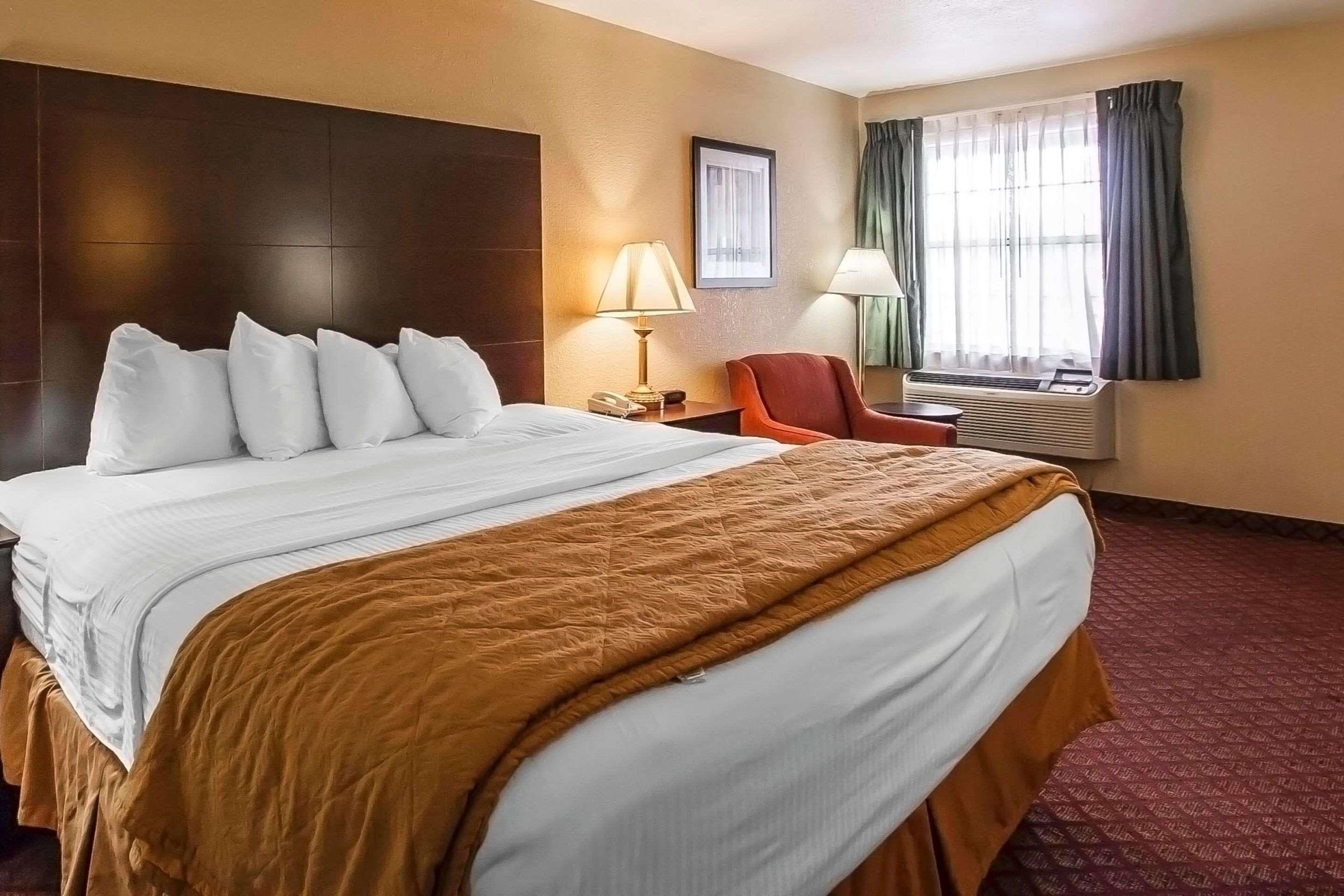 Room, Queen Bed