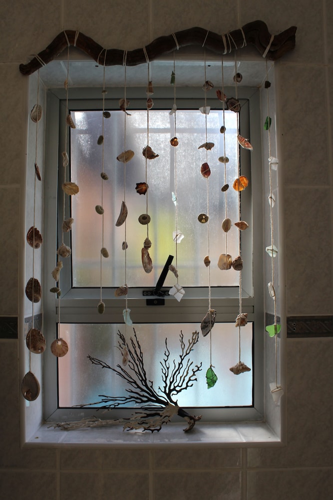 Bluebottle Guest House 3/50