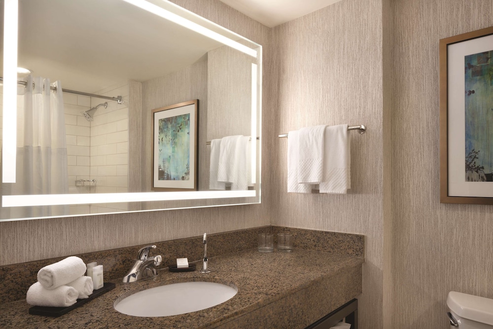 Embassy Suites by Hilton Atlanta at Centennial Olympic Park 17/69