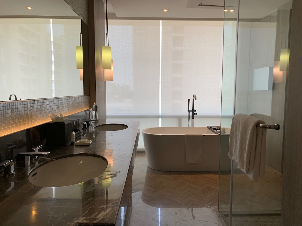 Hyatt Regency Ahmedabad 35/80
