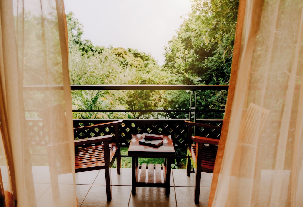 Hotel Ficus Monteverde 65/74