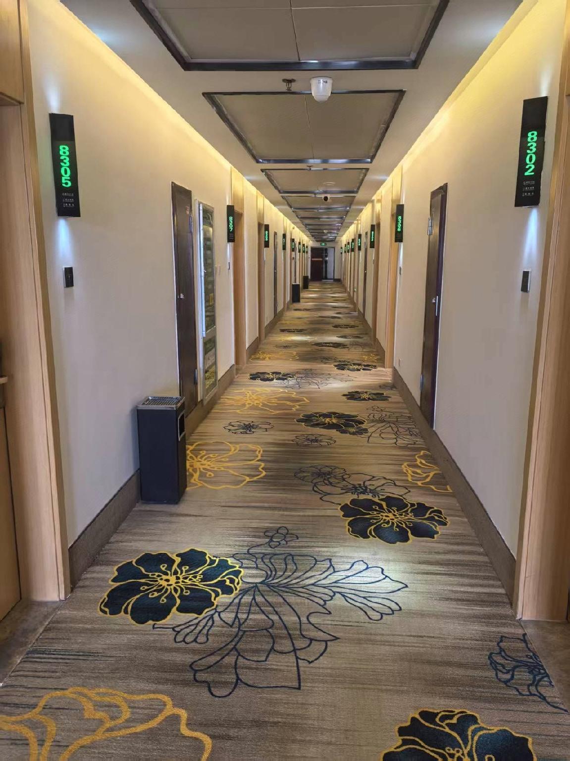 GreenTree Inn Luoyang Train Station Zhuangyuanhong Road Hotel 31/44
