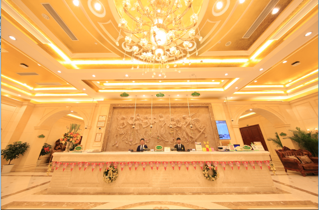 Vienna International Hotel Shanghai National Convention And Exhibition Center Huaxu Road 12/38