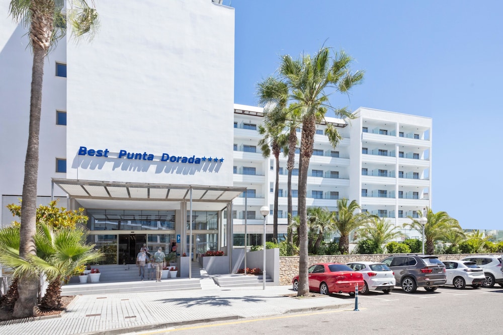 Best Punta Dorada 33/50
