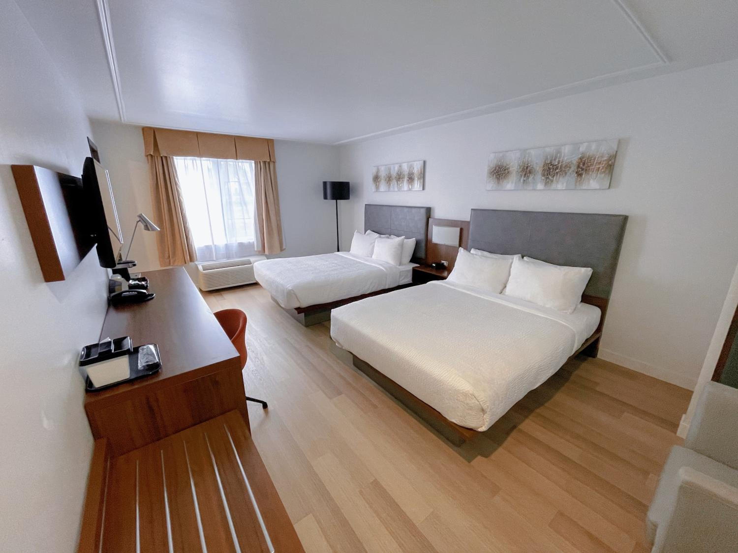 Standard, King Bed, 2 Queen Beds