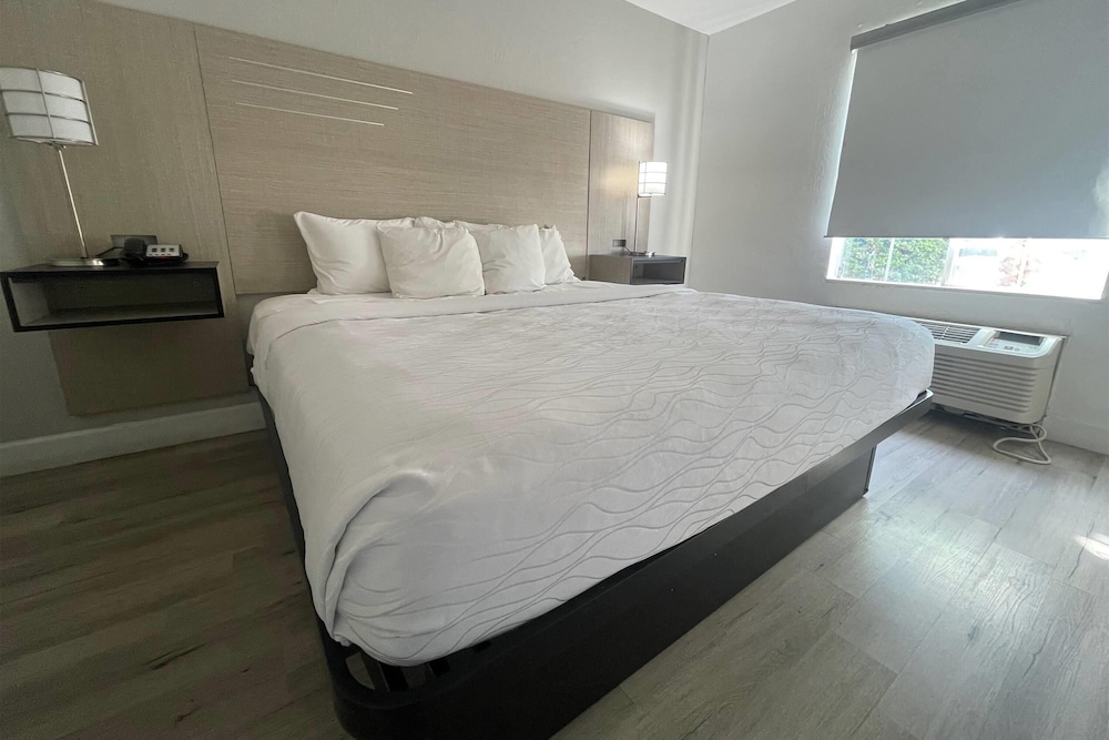 1 BEDROOM, SUITE, ACCESSIBLE