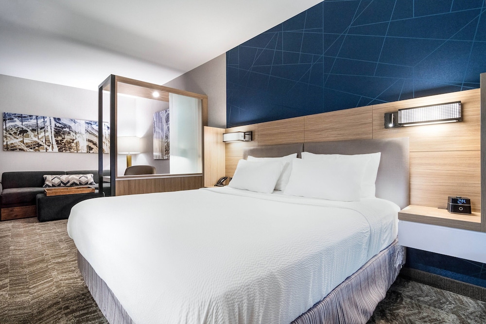 SpringHill Suites by Marriott Charleston Airport & Convention Center 16/43