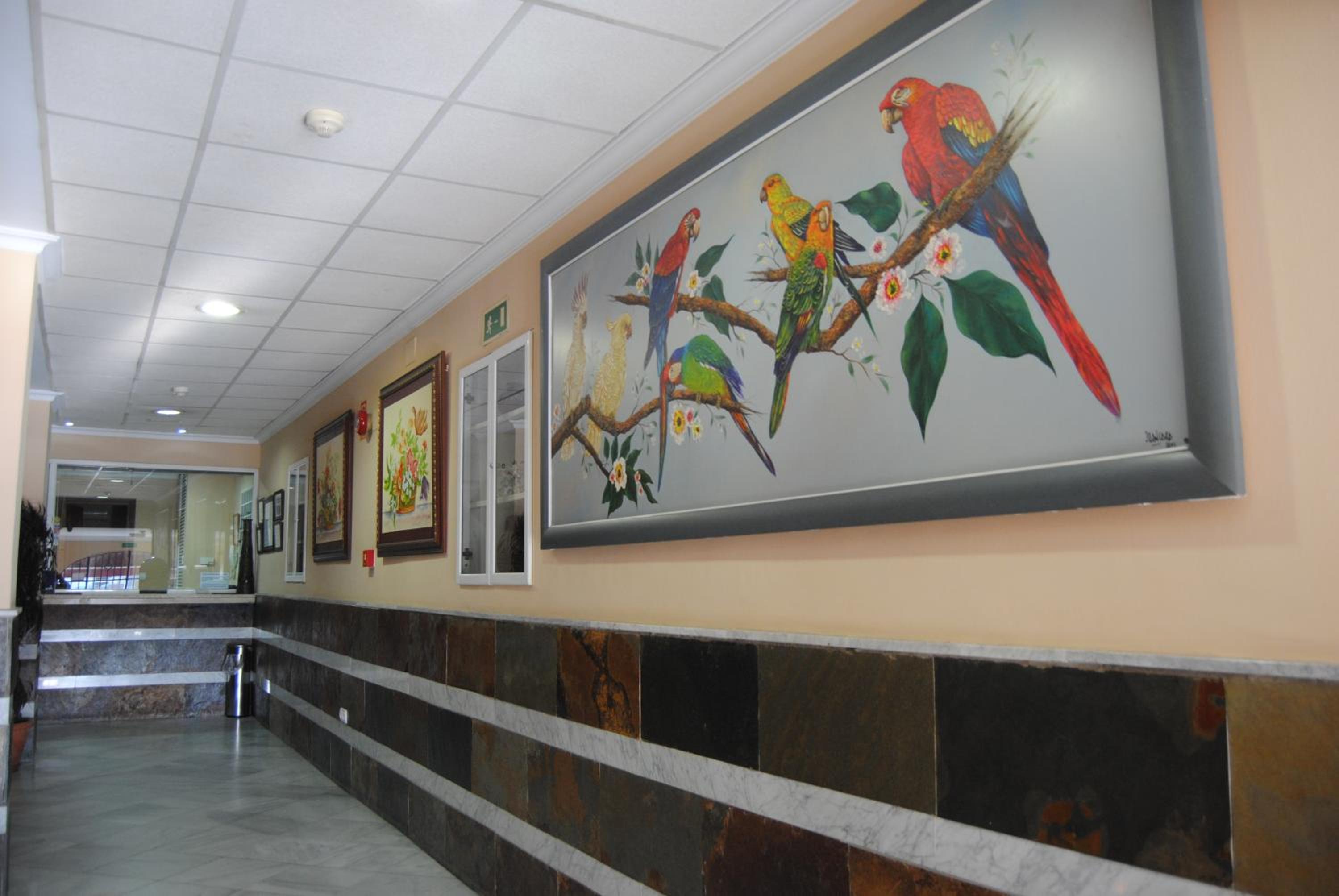 Hotel Quitagolpe 11/50