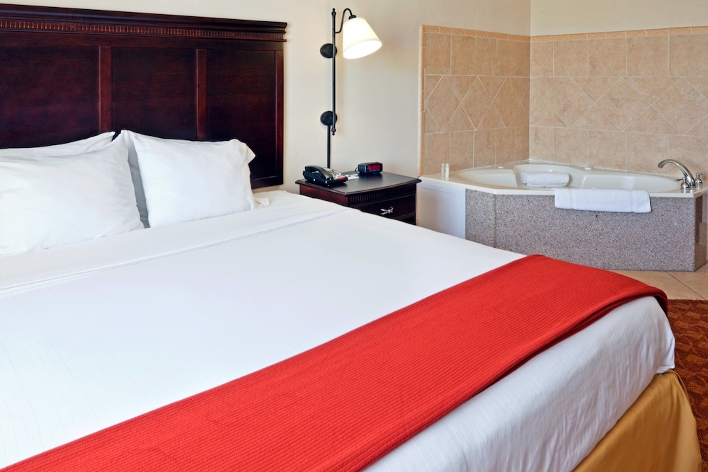 Holiday Inn Express Hotel Suites Athens 13/47