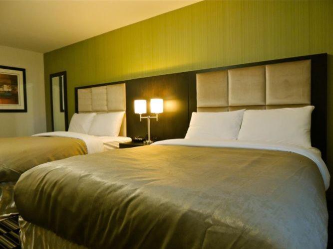 Room, Double Bed 4/4