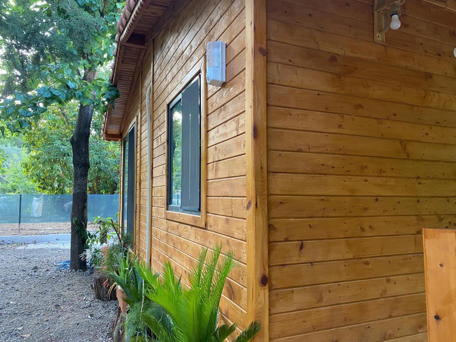 Canario Pension Bungalow 12/50