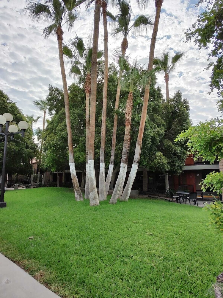 Colonial Mexicali 11/69
