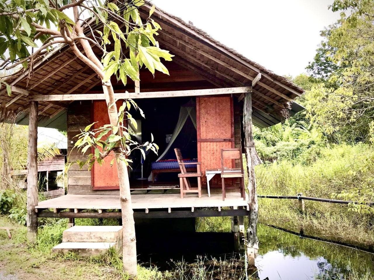 Frog Beach House 5/50