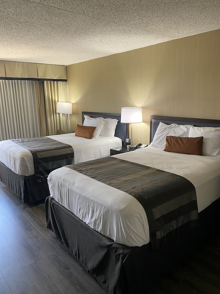 Wingate by Wyndham Springfield 25/60