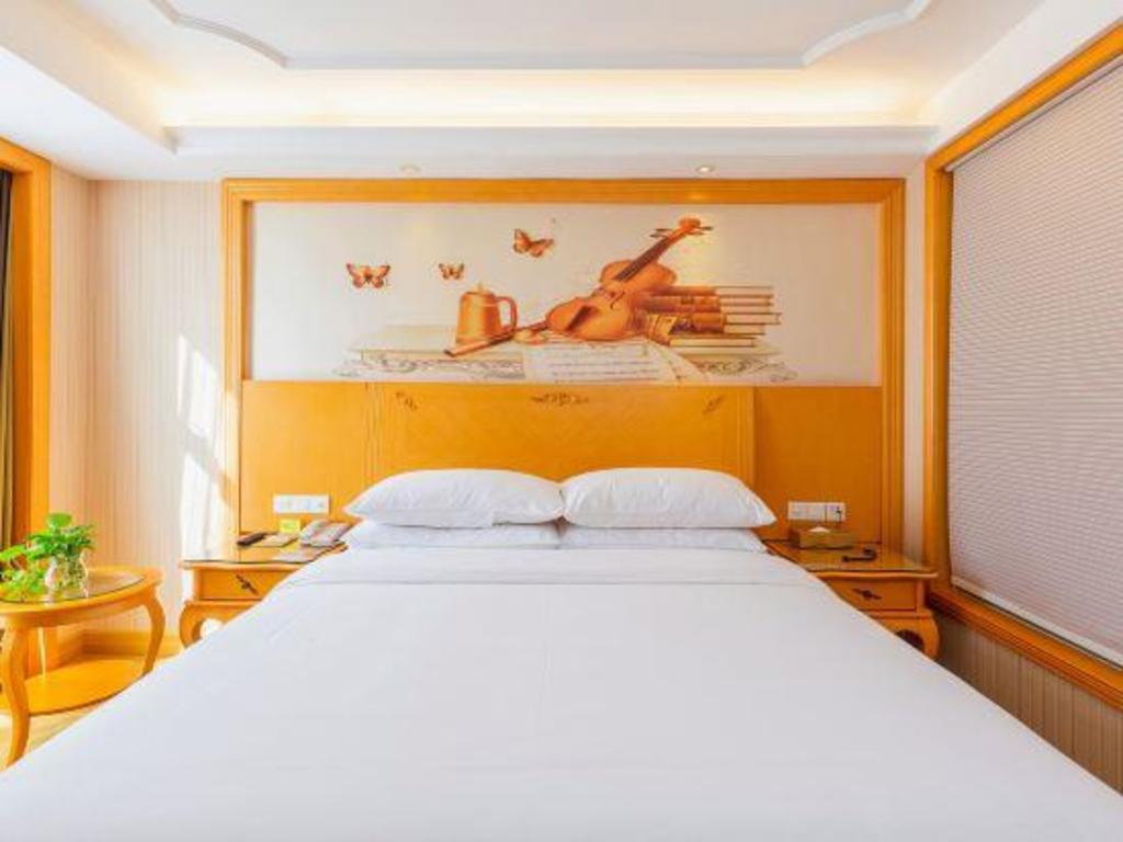 Vienna Hotel (Shenzhen Shanglilang Metro Station) 19/60