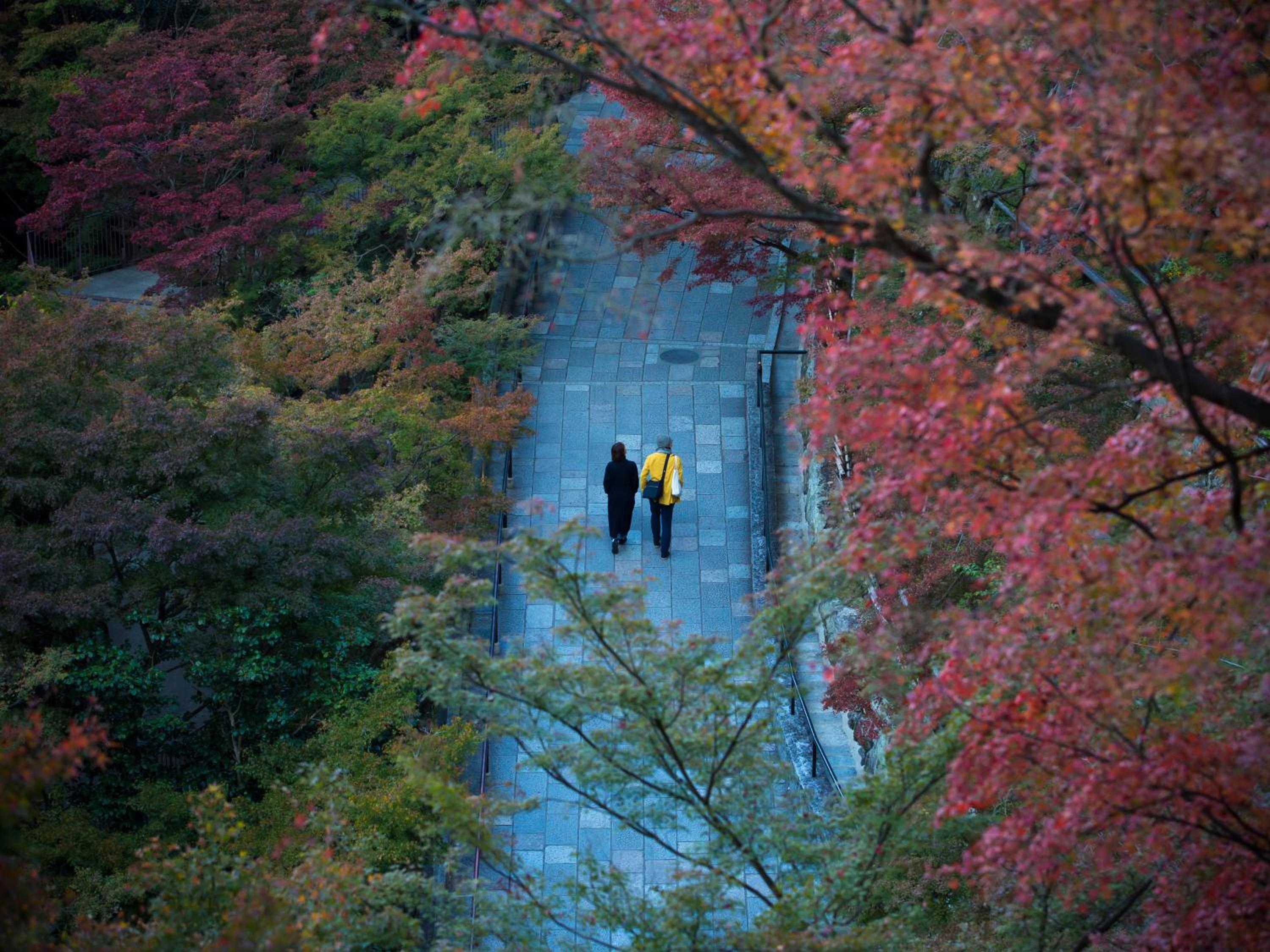 Saka Hotel Kyoto 48/50